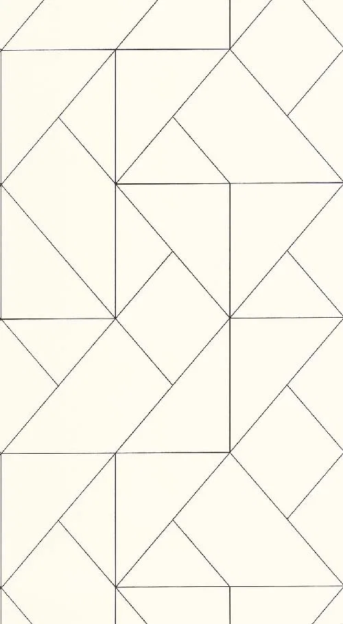 Subtilité - Beige fusain tapéta