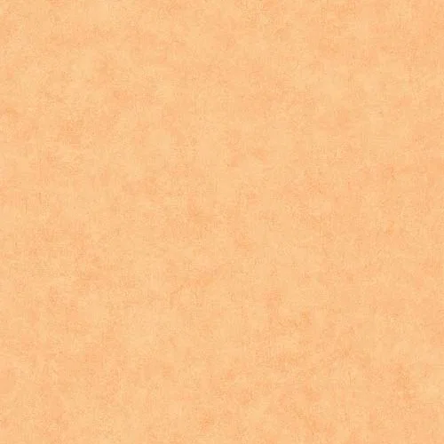 Beton uni - Savane tapéta