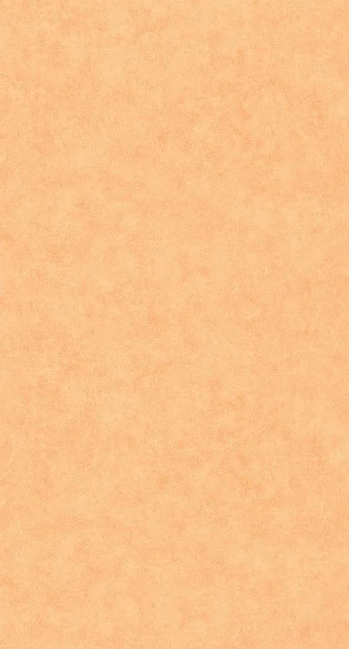 Beton uni - Savane tapéta