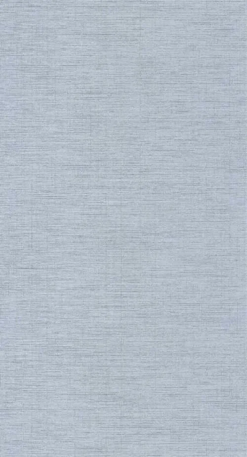 Five o'clock plain - Gris mouette tapéta