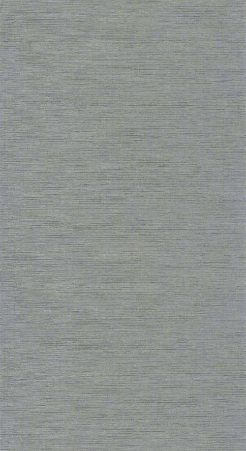 Five o'clock plain - Gris pierre tapéta
