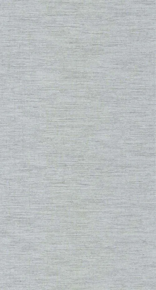 Five o'clock plain - Gris plume tapéta