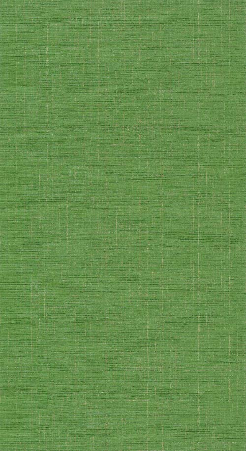 Five o'clock plain - Vert tropical tapéta