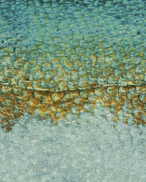 Scales_L panel