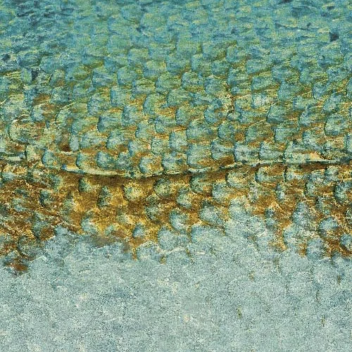 Scales_S panel