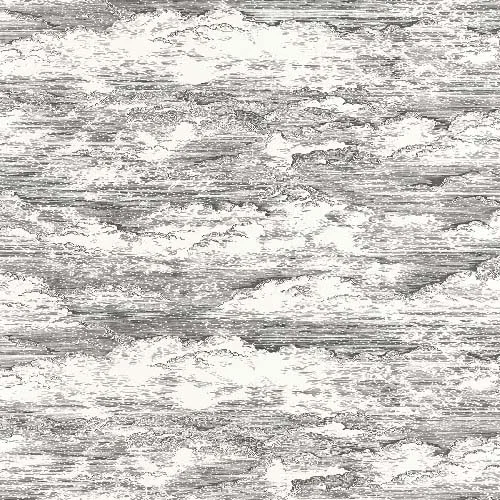 Songe - Noir gravure tapéta