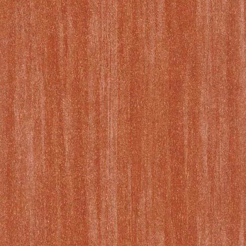 Woods Eucalyptus - Citrouille tapéta