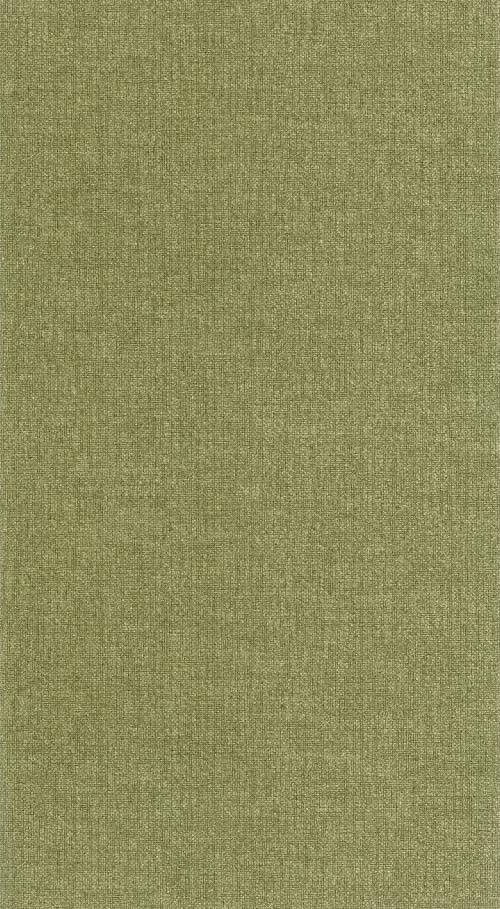 Damier Uni Mat - Vert khaki tapéta