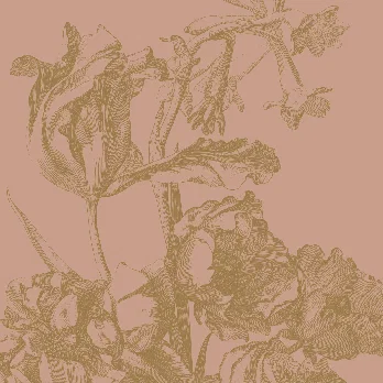 Nude flowers falpanel
