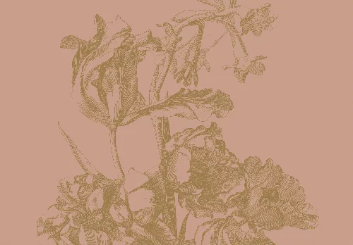 Nude flowers falpanel