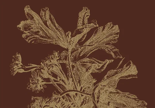 Rust flowers falpanel