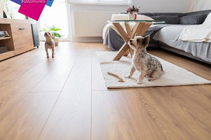 Nagykanizsa - Referencia 20