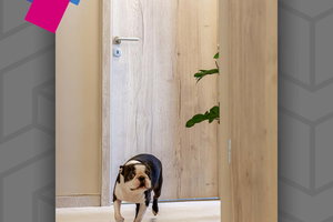 Szigetszentmiklós - Referencia 22